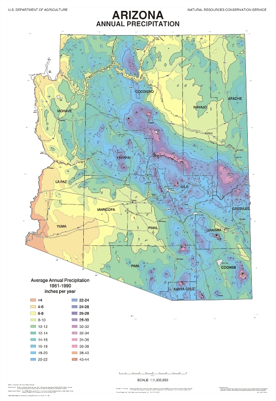 precip map