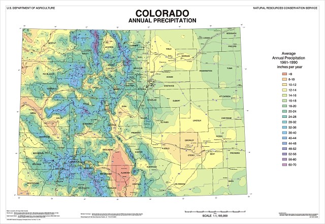 precip map