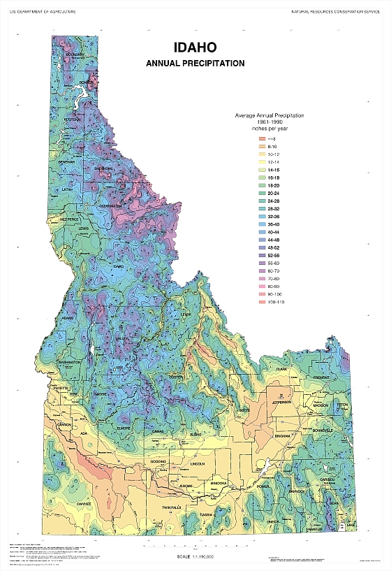 precip map