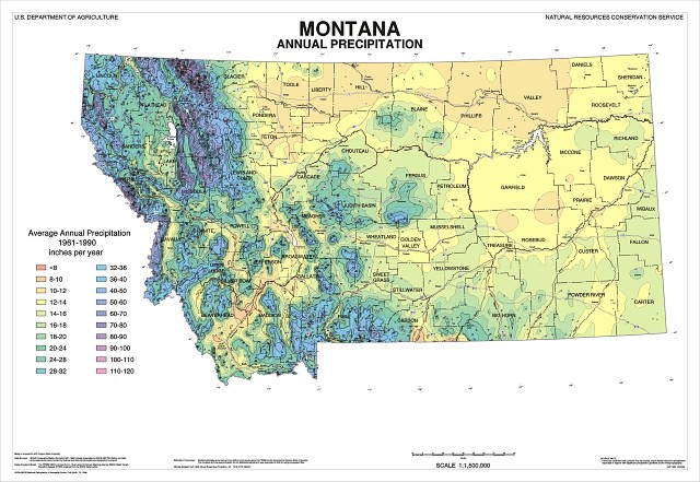precip map