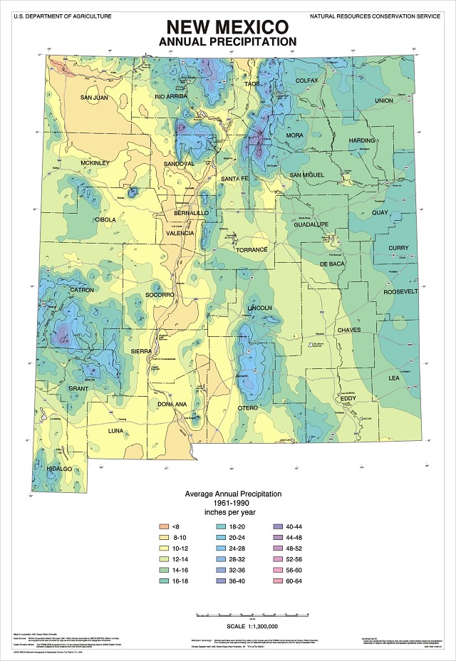 precip map