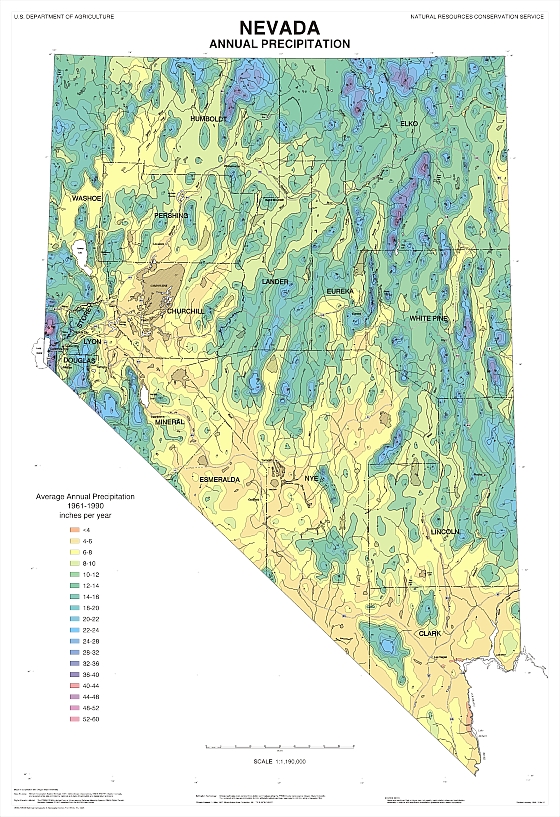 precip map