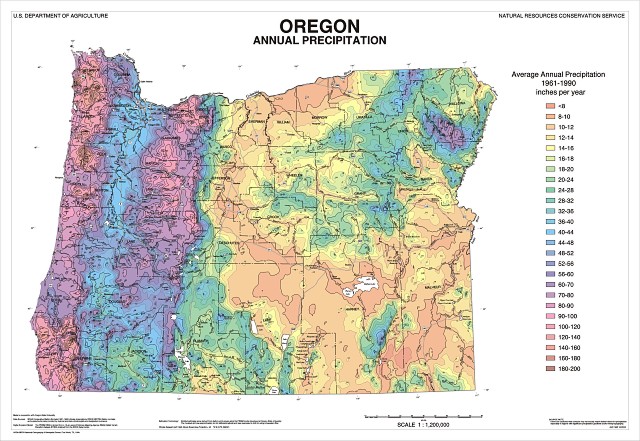 precip map