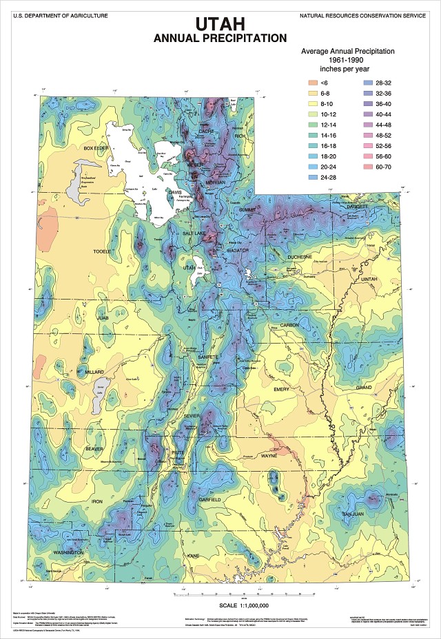 precip map