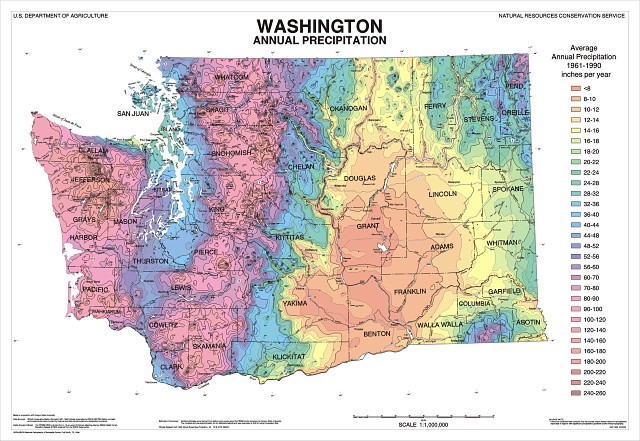 precip map