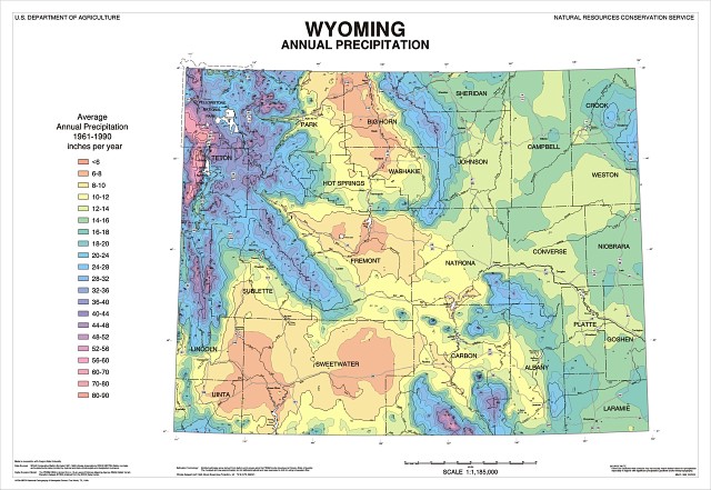 precip map