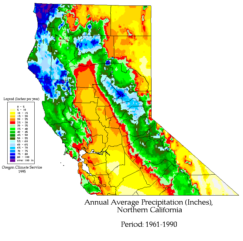 precip map