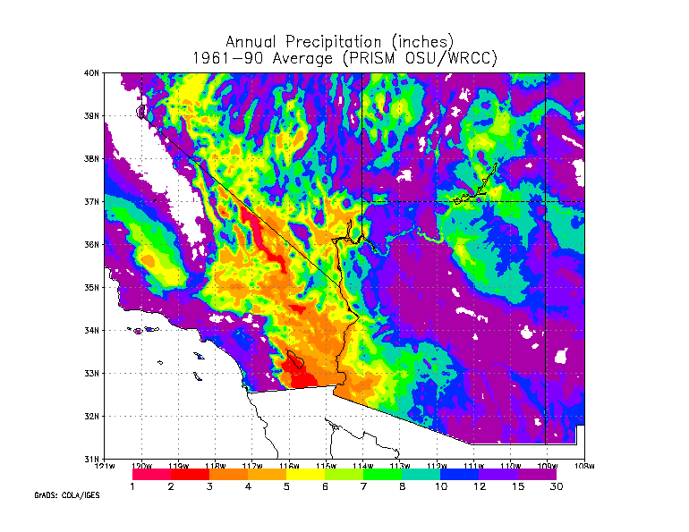 precip map