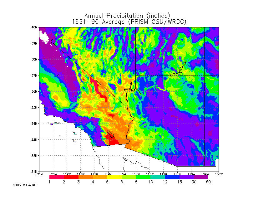 precip map