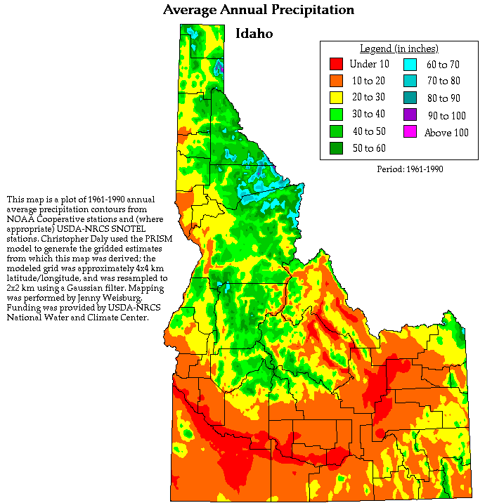 precip map