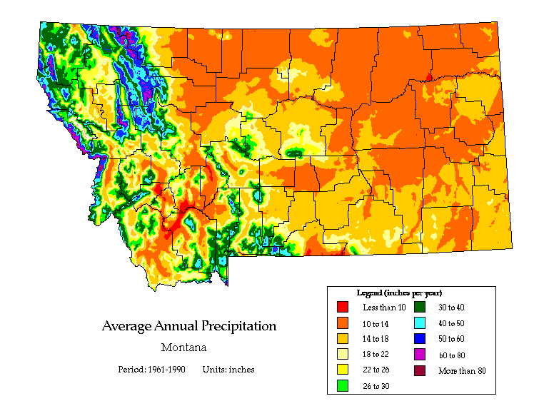 precip map