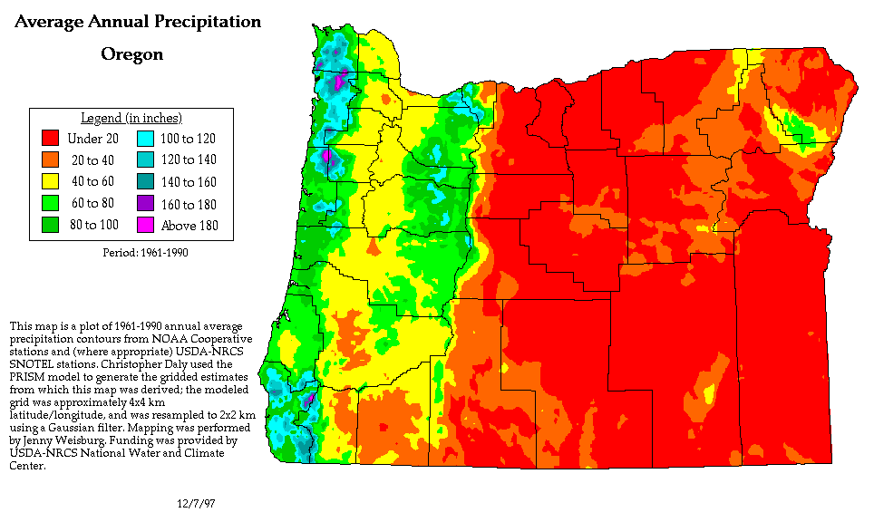 precip map