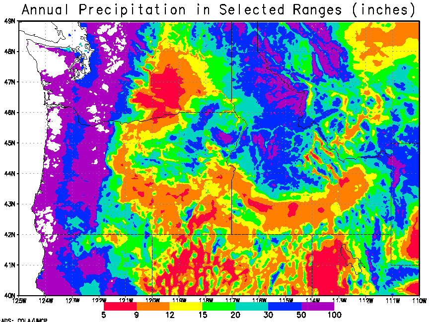 precip map