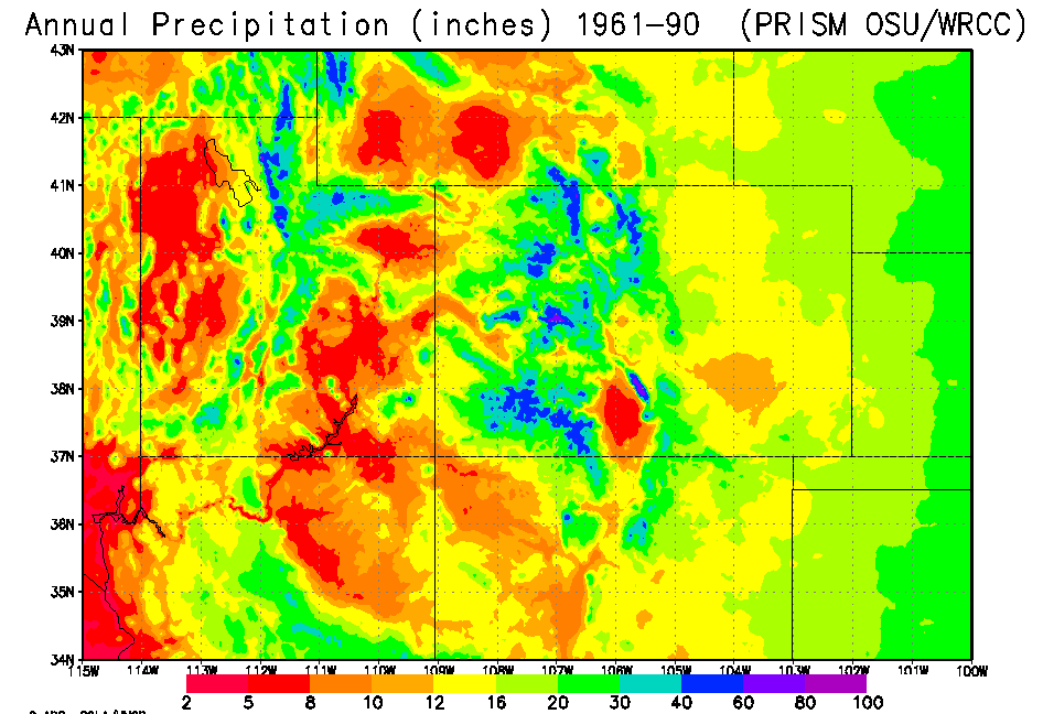 precip map