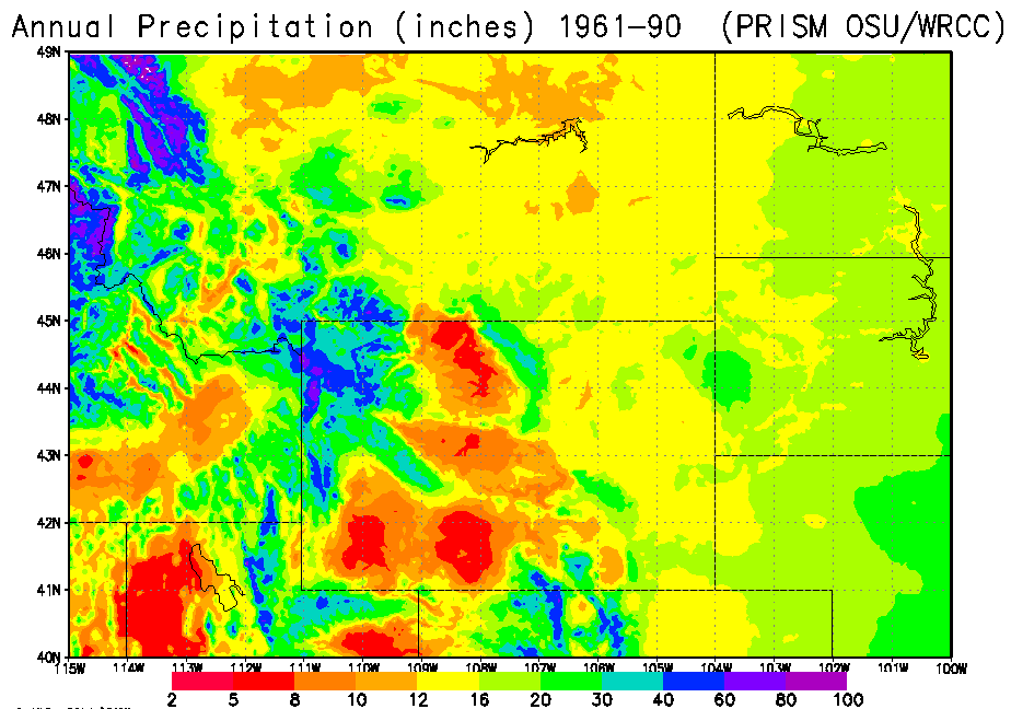 precip map