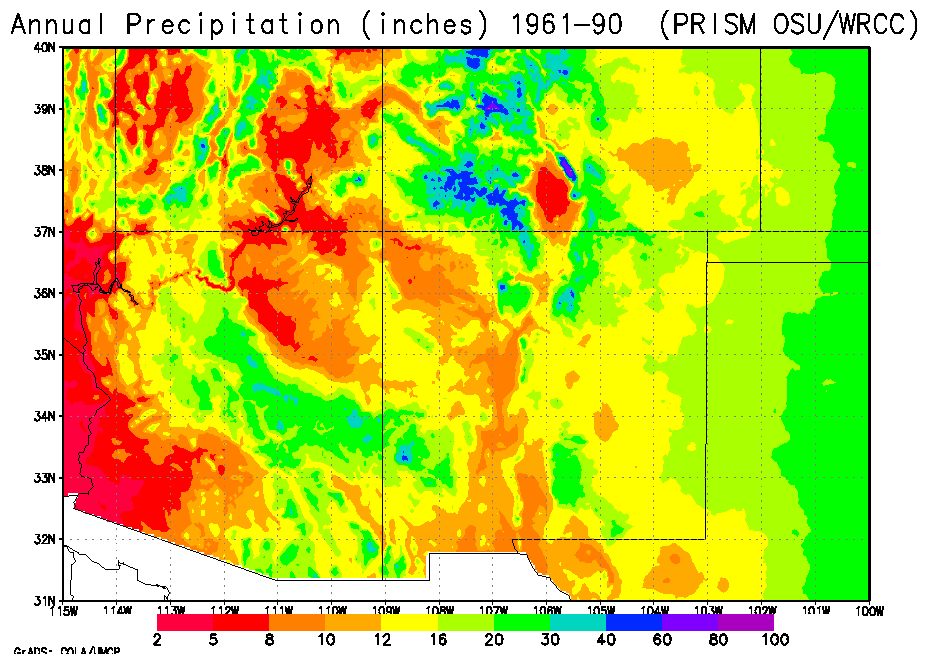 precip map