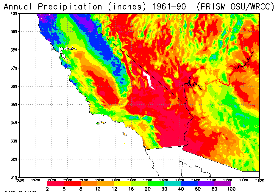 precip map