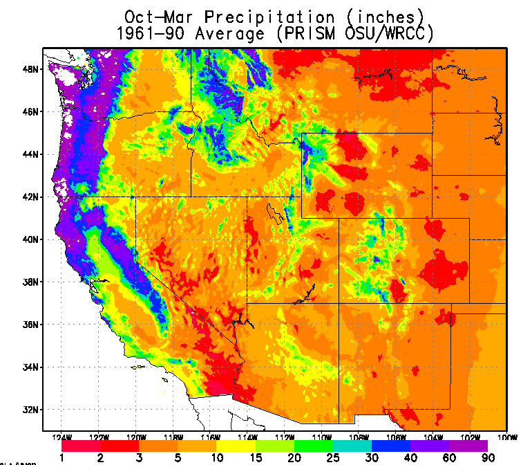 precip map