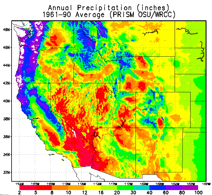 precip map